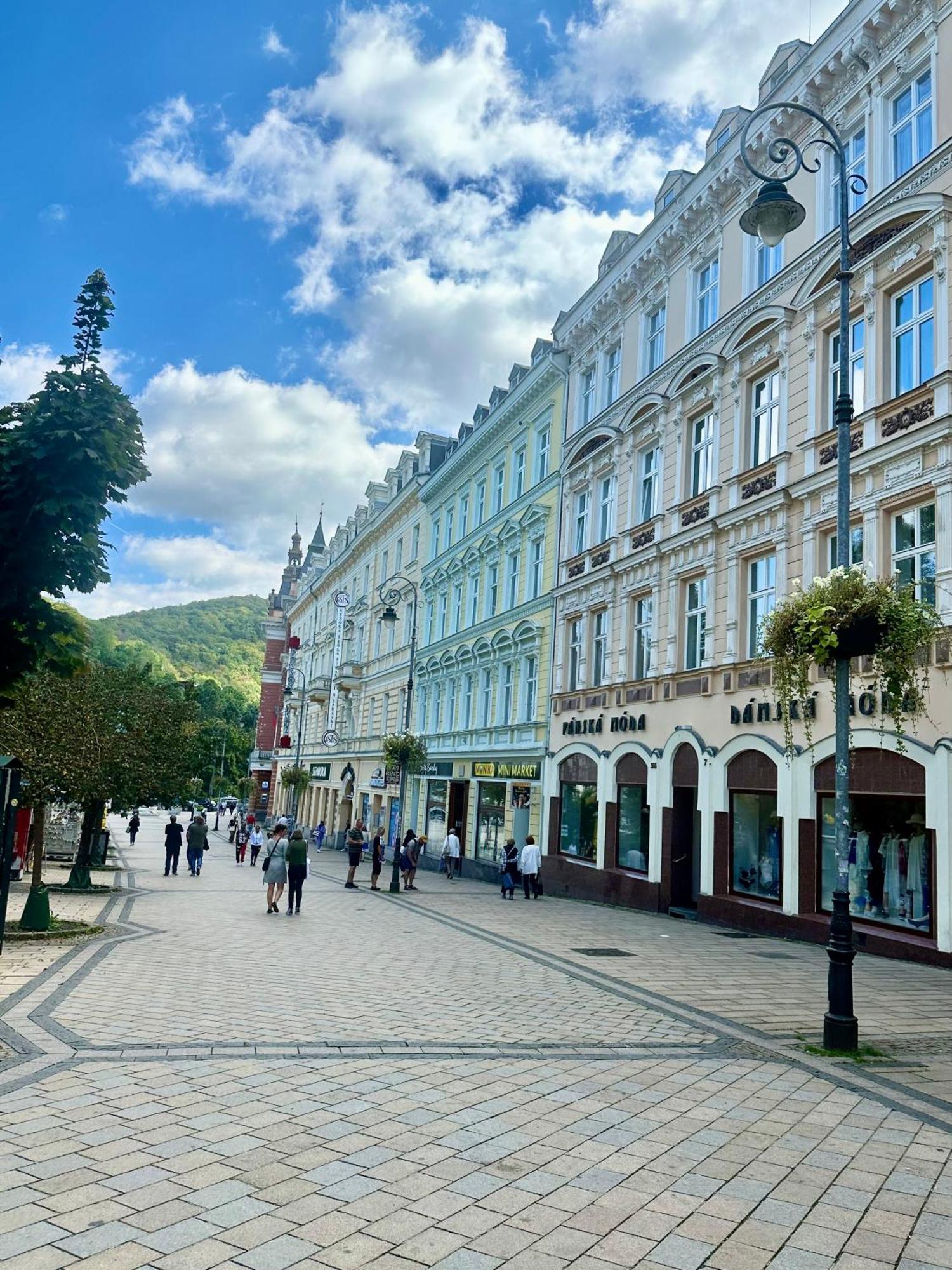 Apartment Th Karlovy Vary Extérieur photo